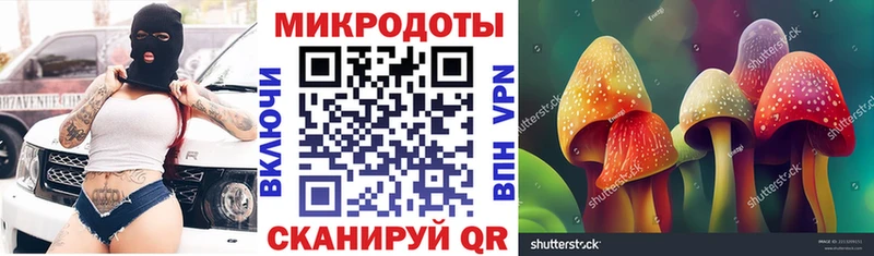ОМГ ОМГ как зайти  Онега  Галлюциногенные грибы мухоморы 